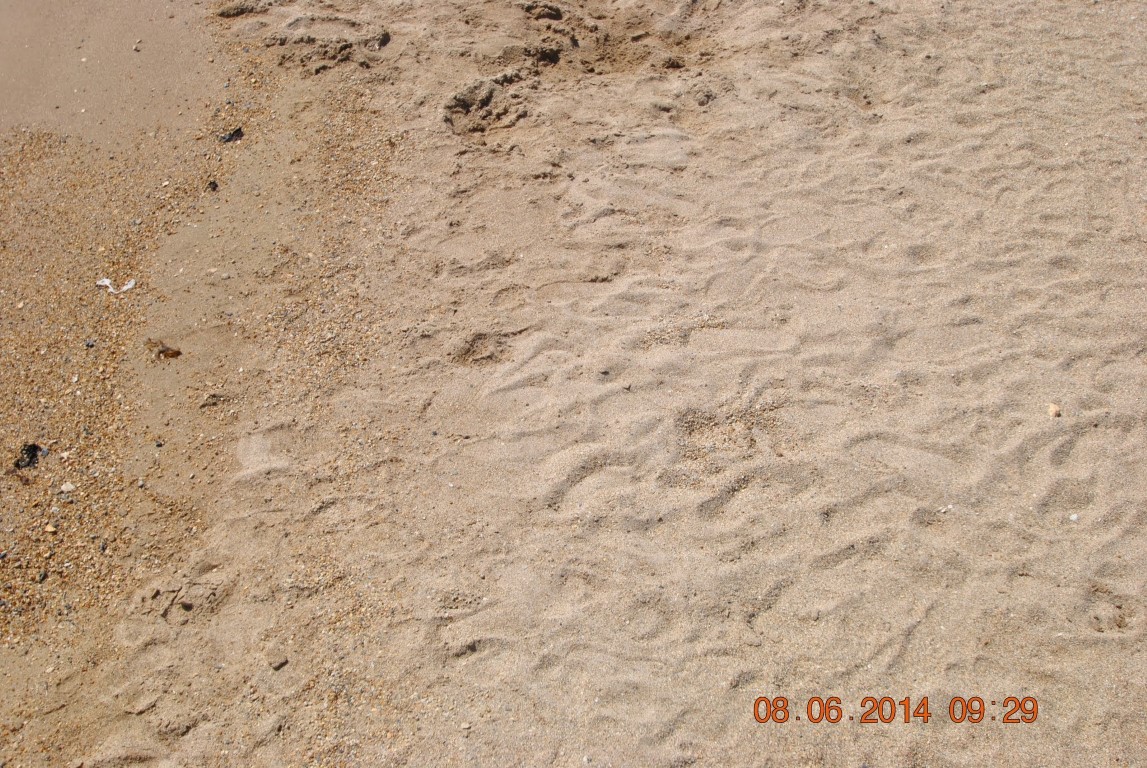 imagini hotel VENOSA DIDIM